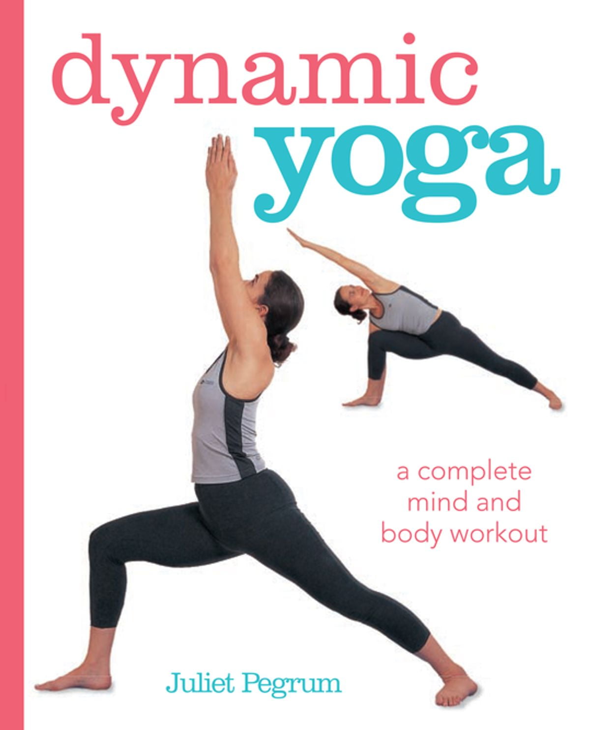 Hatha Yoga Illustrated Ebook